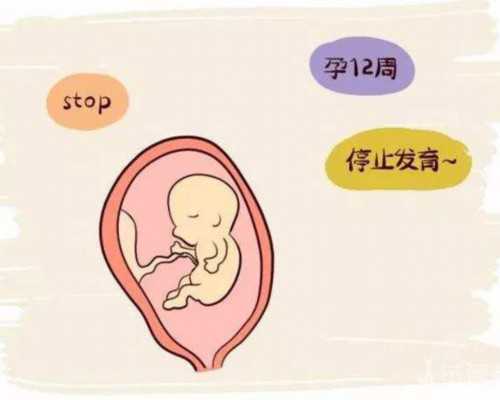 四川第三代试管婴儿多少钱？